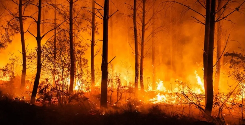 Monster wildfires close in on Bordeaux as tourists urged to flee region