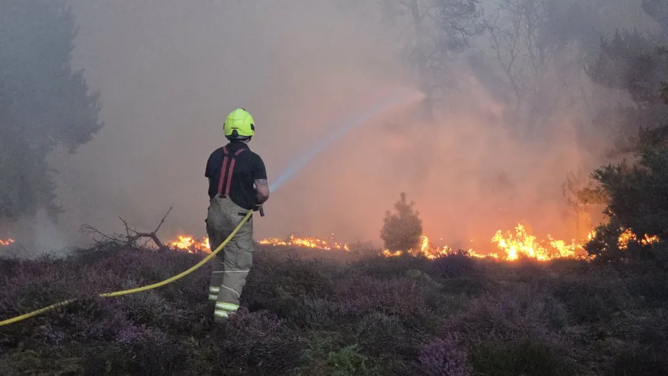 Night-time evacuation as wildfire engulfs Suffolk heathland near Sizewell