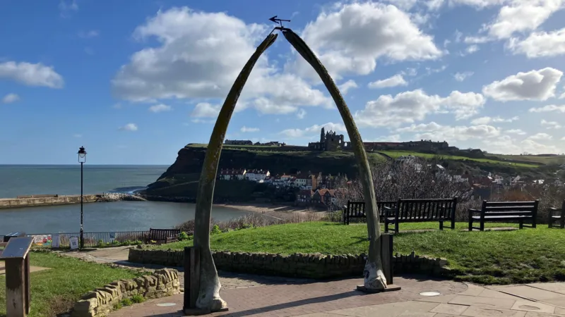 Bronze casting to replace whale jaws on West Cliff as council opts for durability
