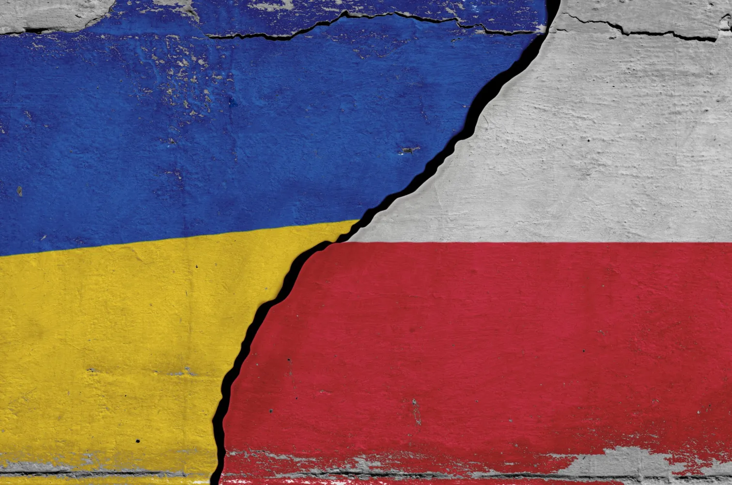 Poland and Ukraine at Odds as Honouring of Wartime Guerrillas Strains Ties