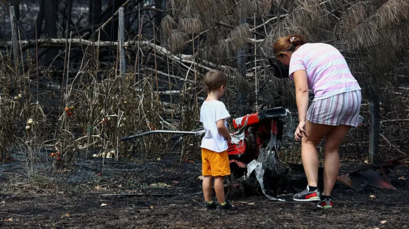 French wildfire uncovers cache of Second World War munitions in coastal village