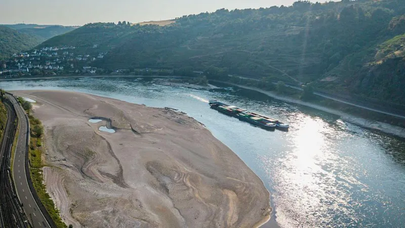 Shipping disrupted as Rhine and Danube hit historic water levels