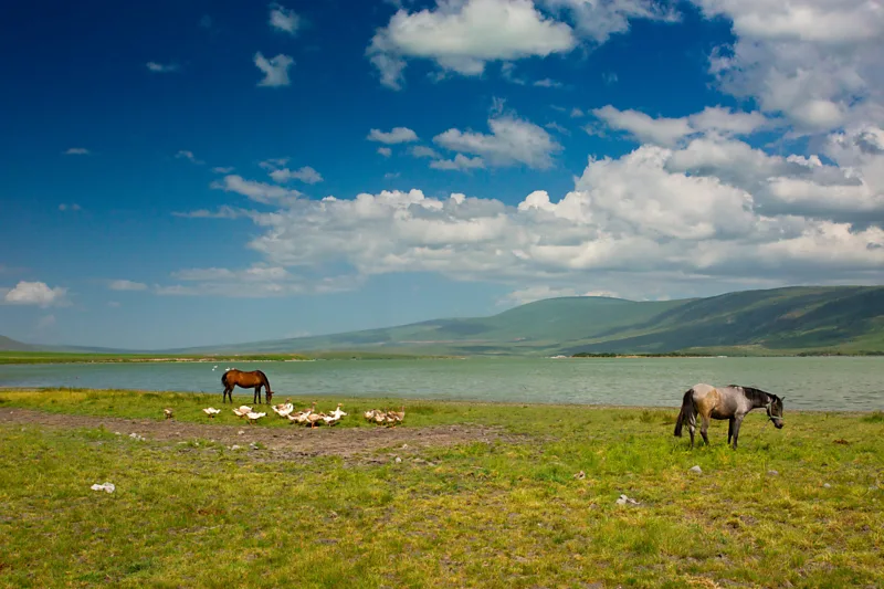 Four in Five Lakes Gone: Scientists Battle to Protect Turkey's Wetlands