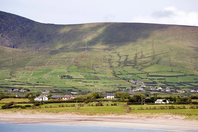 The lost animals of Ireland, preserved in its place names