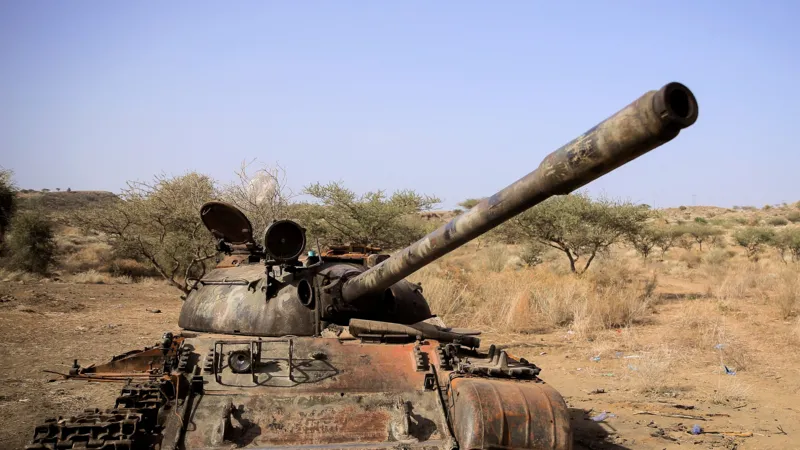 Seven Rebel Groups Unite Against Ethiopia's Prime Minister