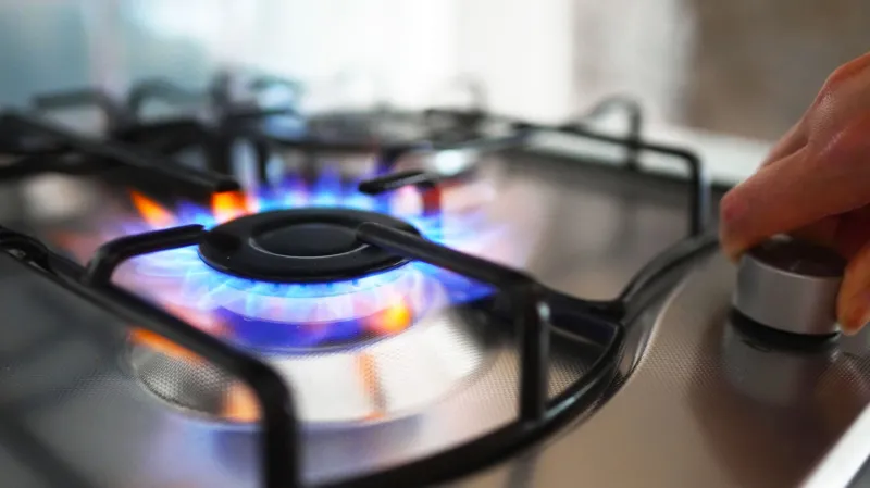 Burnham's Pragmatism Meets the Energy Trade-Offs